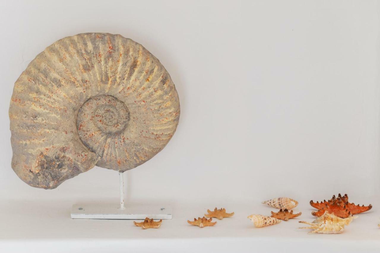 הוילה Olhão Casa Do Pescador By Ammonite&Co מראה חיצוני תמונה